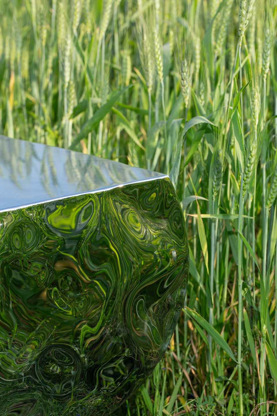 TRONCO BENCH