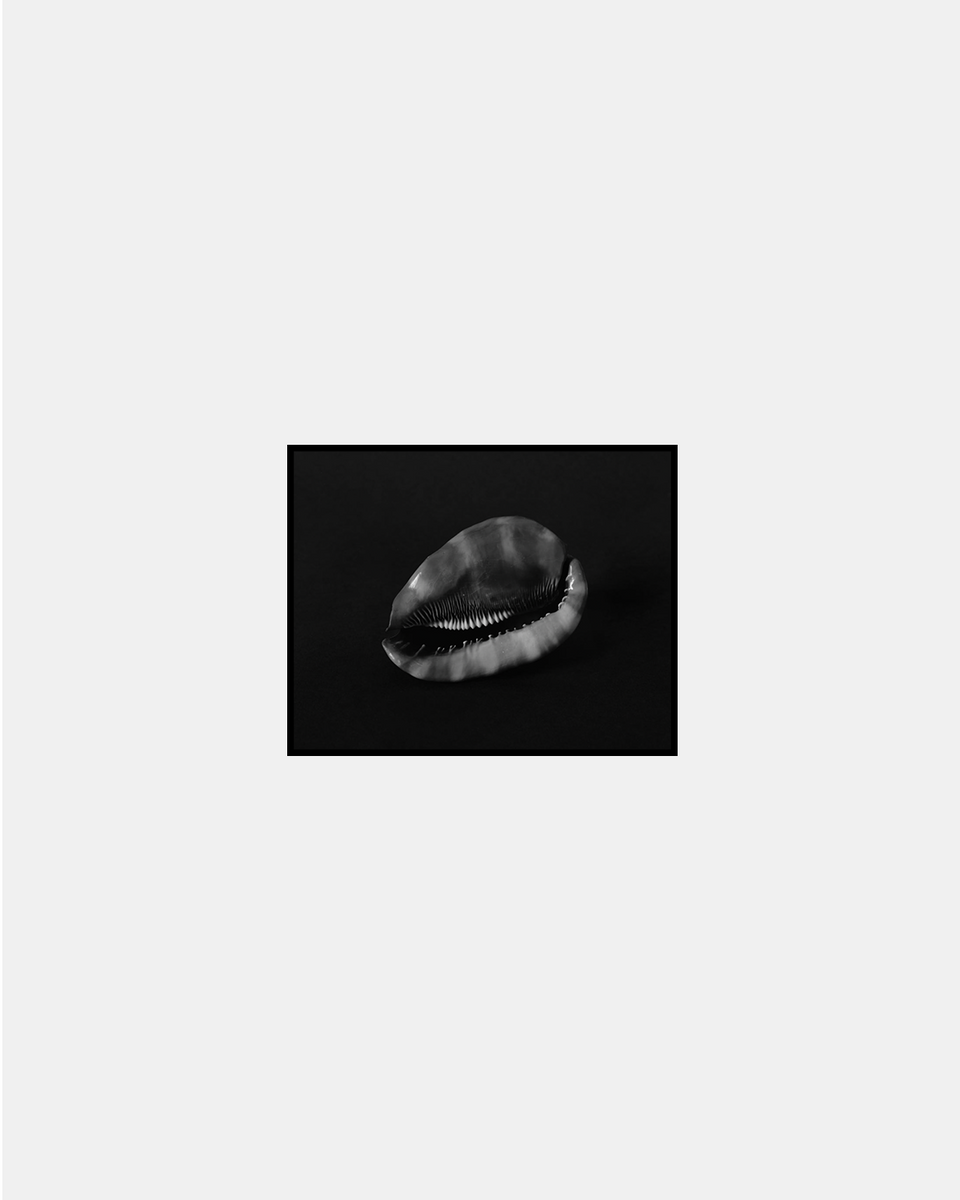 SHELL. 2020