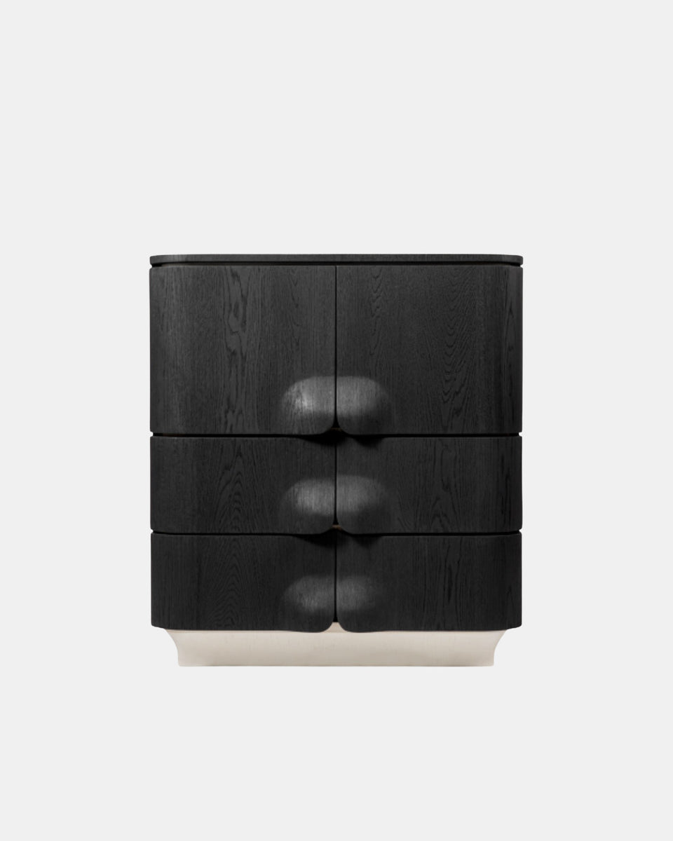 ARNAVA CABINET