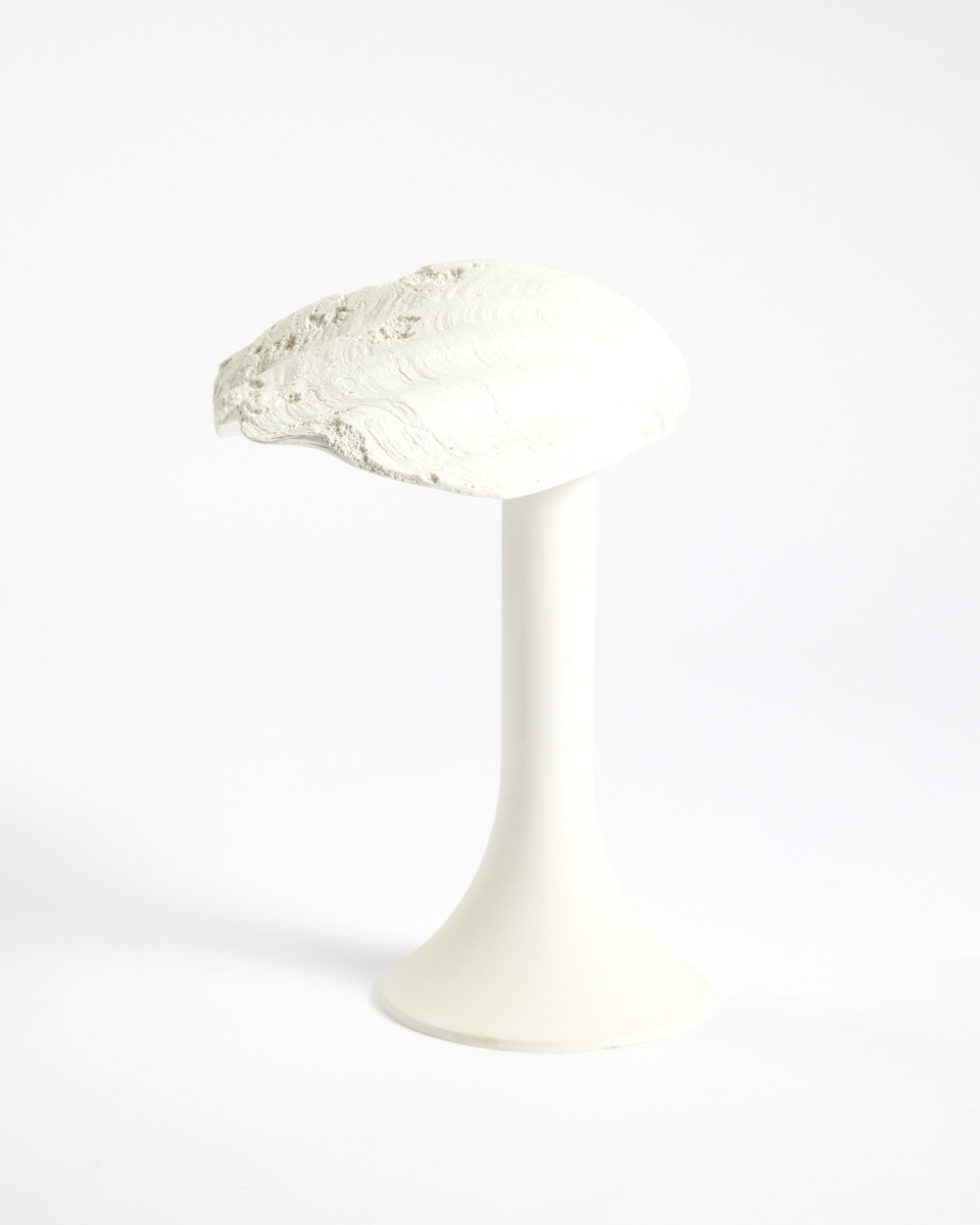 SHELL TABLE LAMP