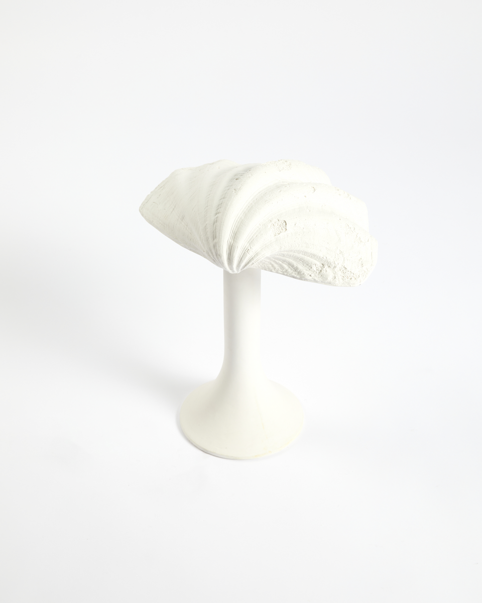 SHELL TABLE LAMP