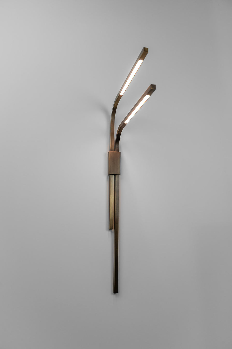 BRANCH SCONCE