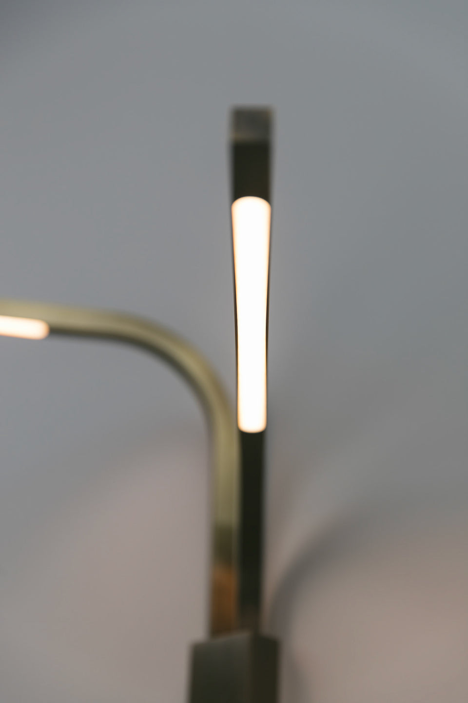 BRANCH SCONCE