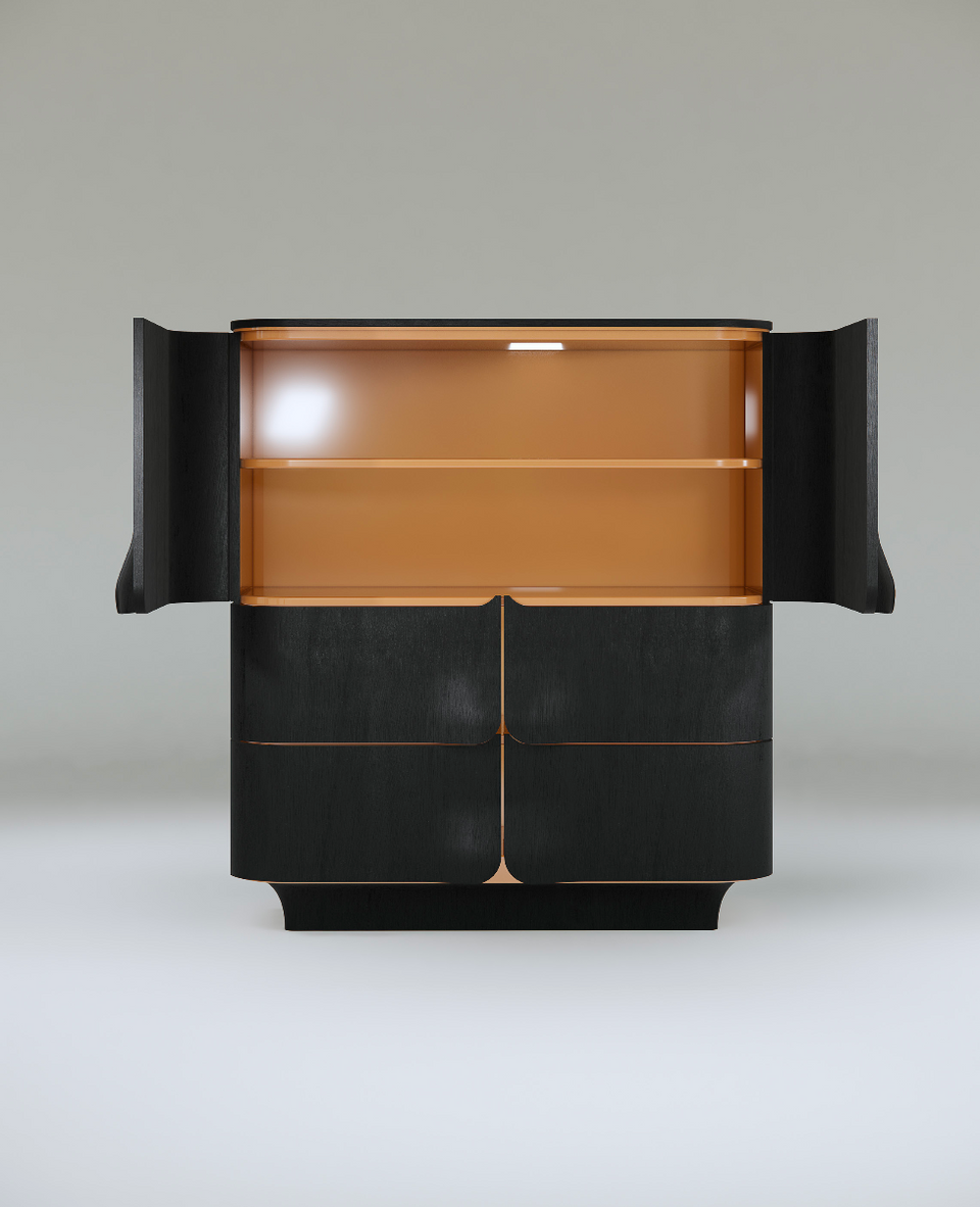 ARNAVA CABINET