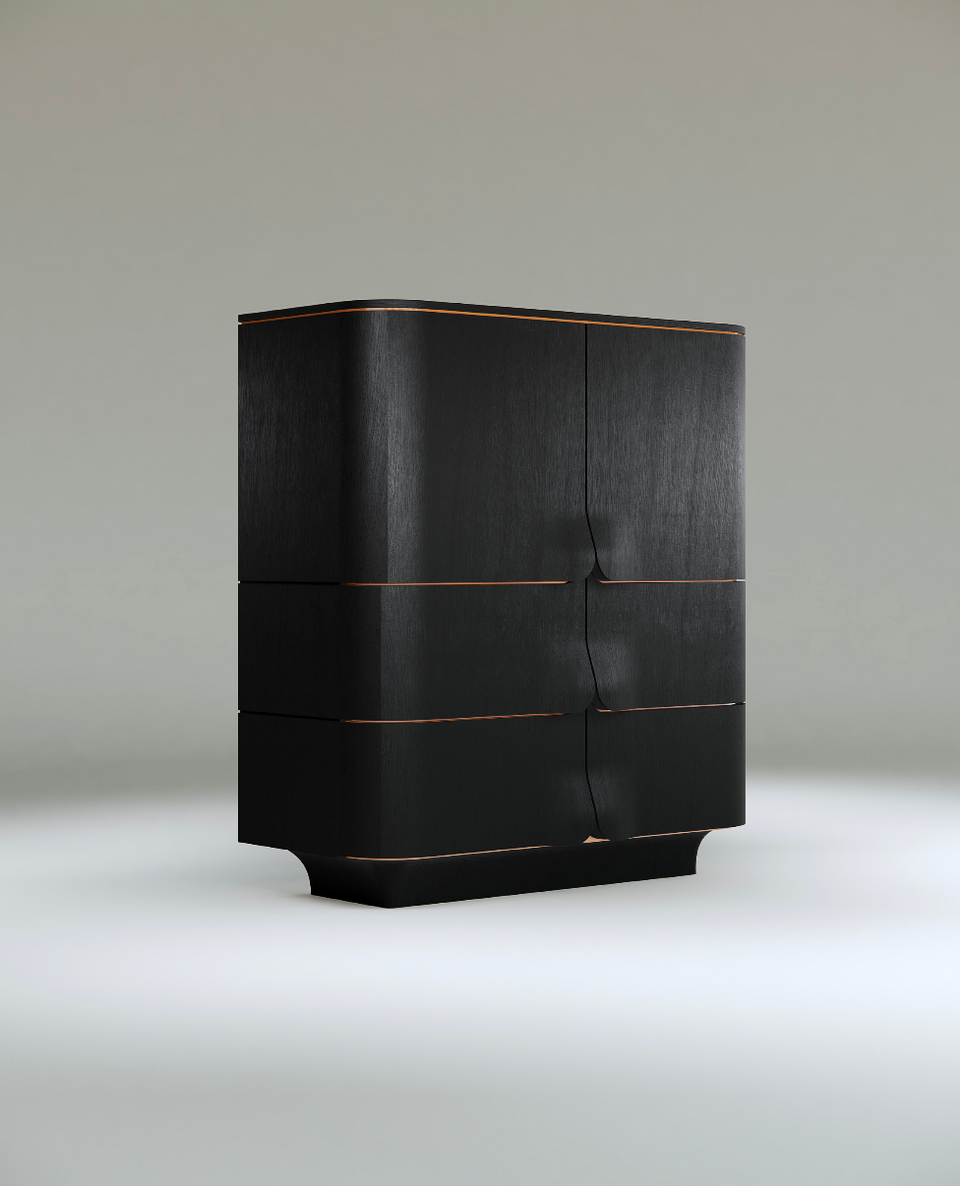 ARNAVA CABINET