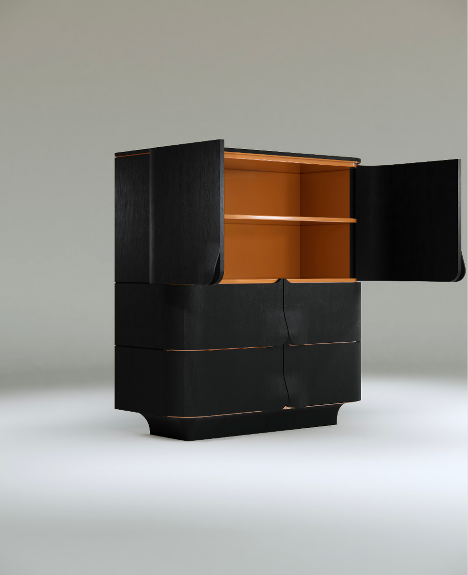 ARNAVA CABINET