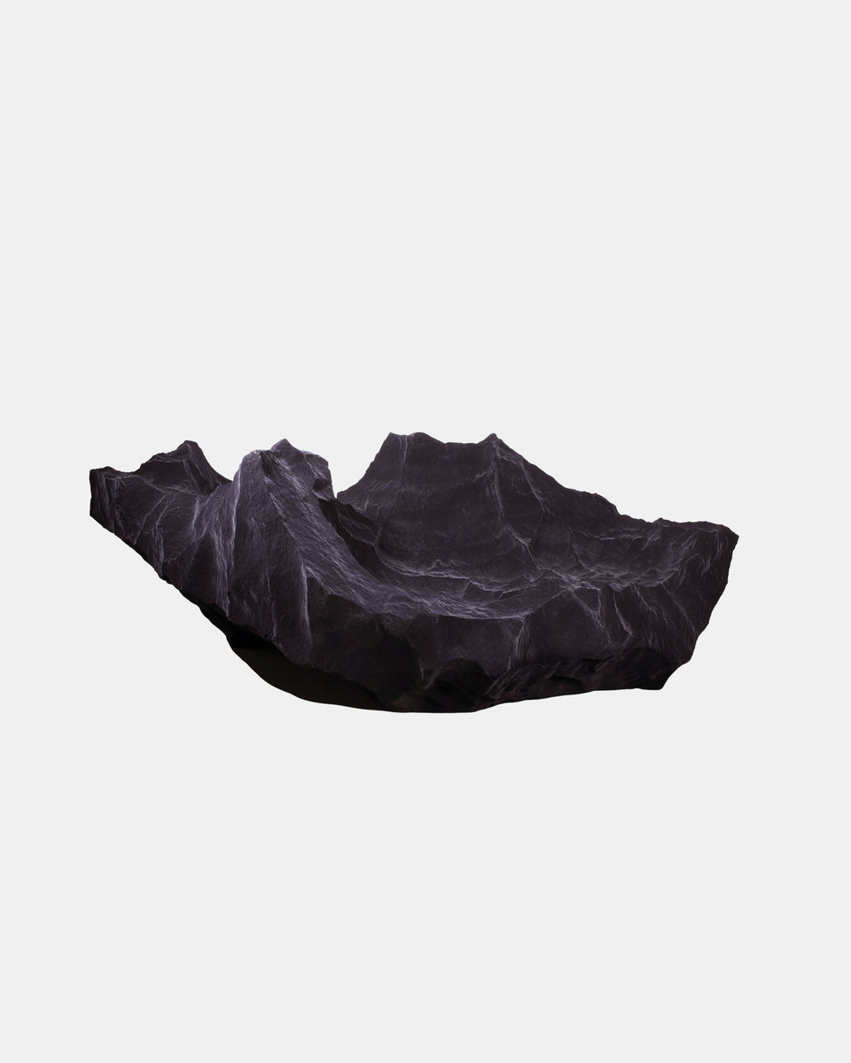 SPECIES 5 SCULPTURAL SEAT