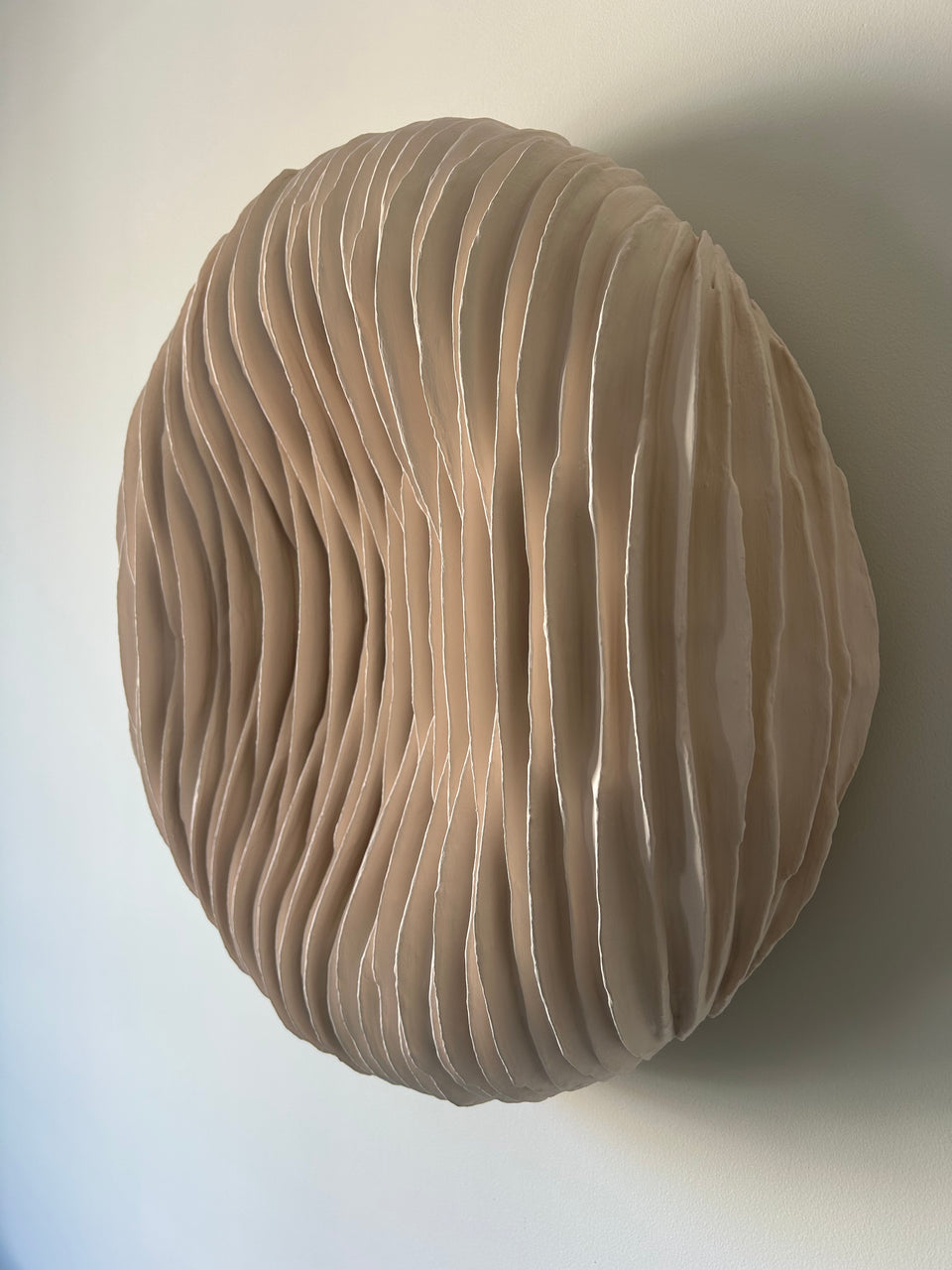 CONTOUR 2024