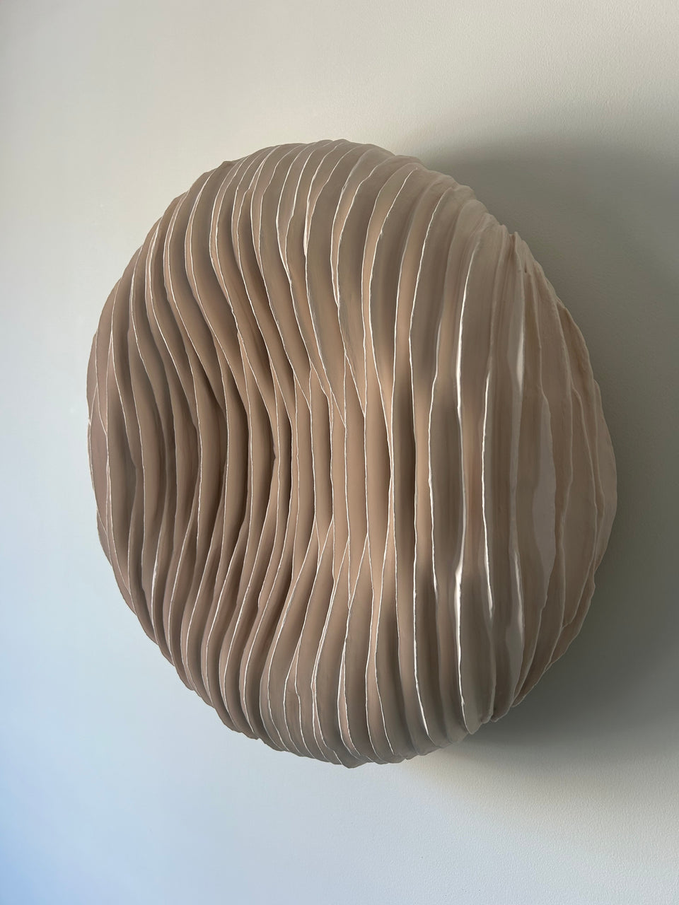 CONTOUR 2024