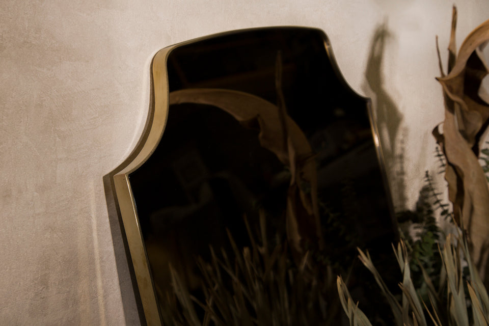 AEGIS MIRROR