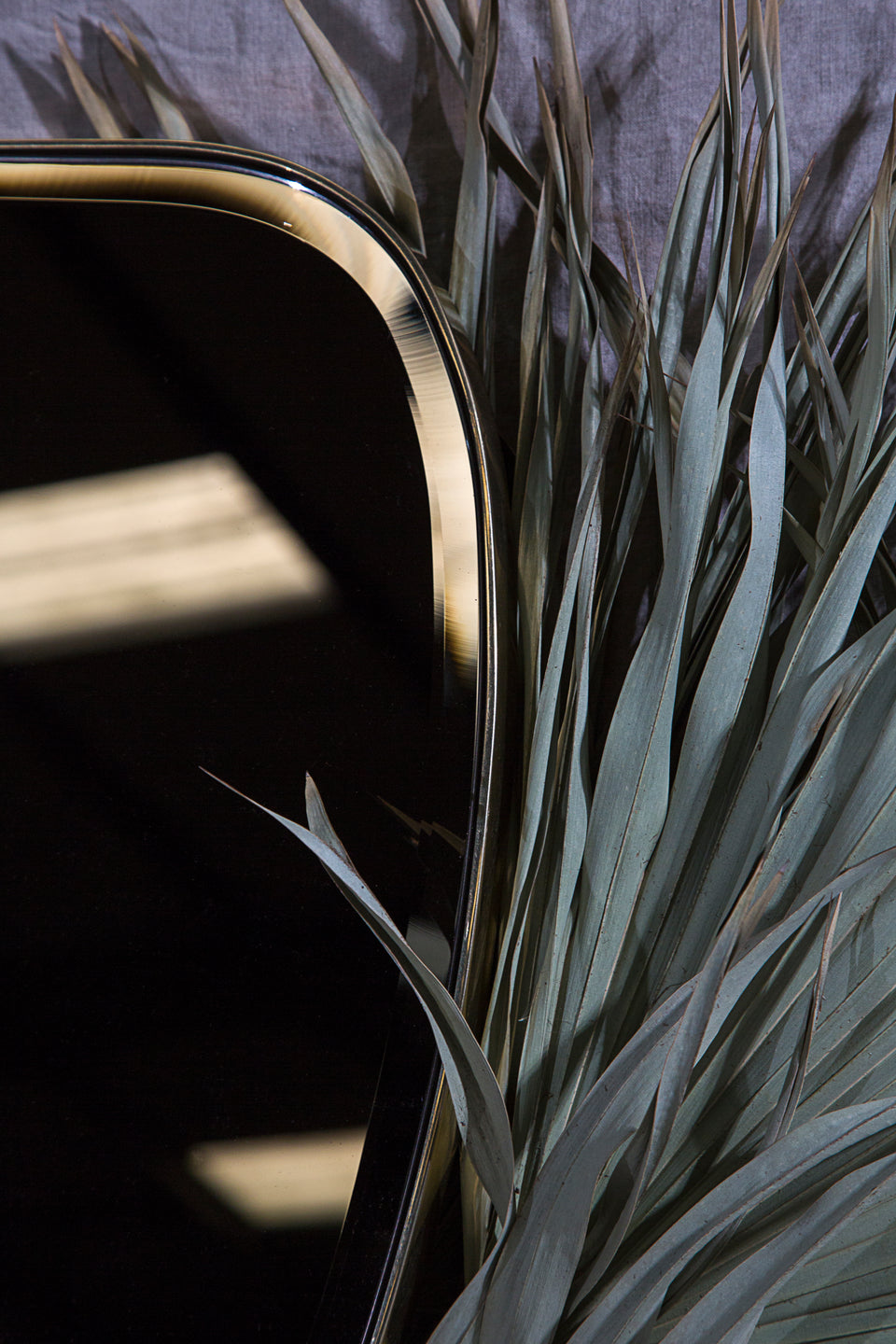 SHIELD MIRROR