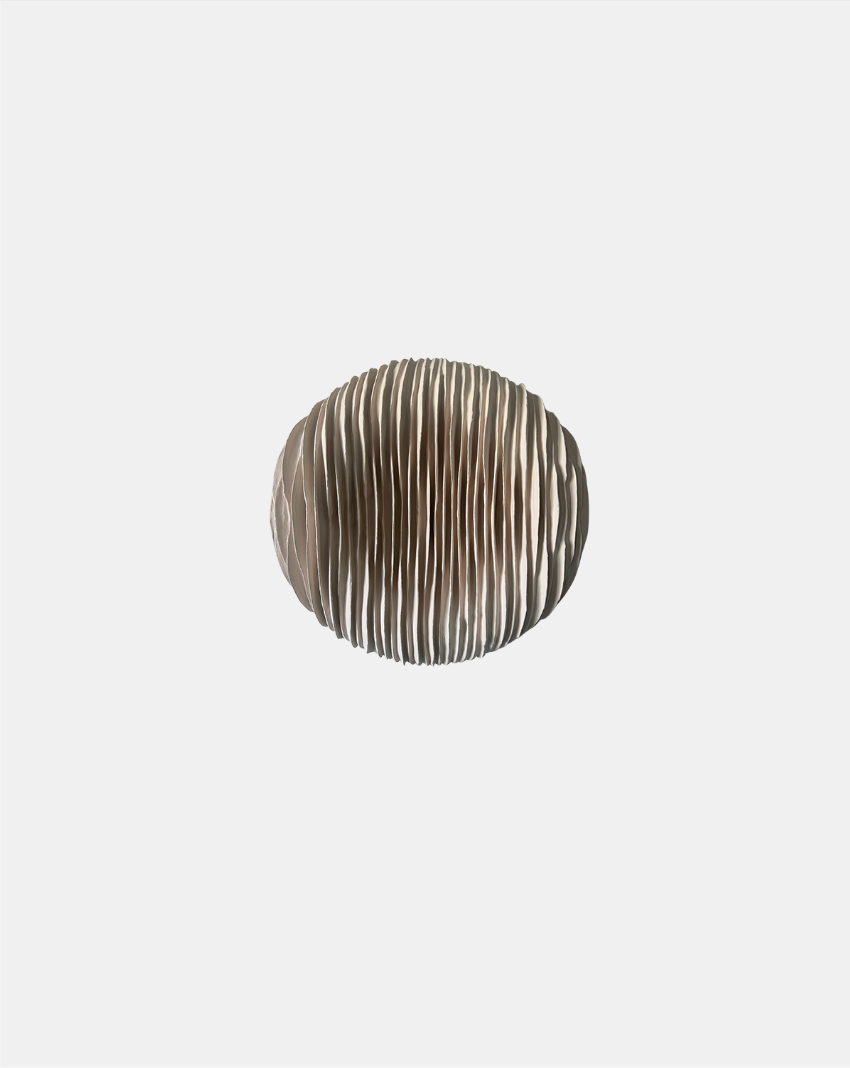CONTOUR 2024