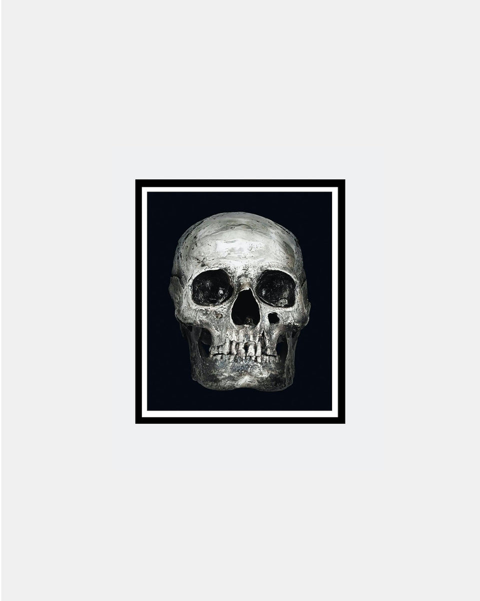 ABACUS - THE DREAM IS DEAD, 2007