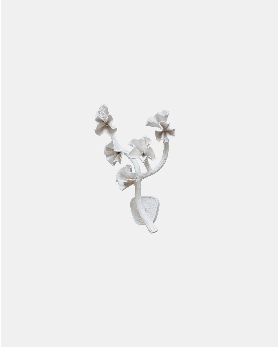 BLOOM PLASTER SCONCE