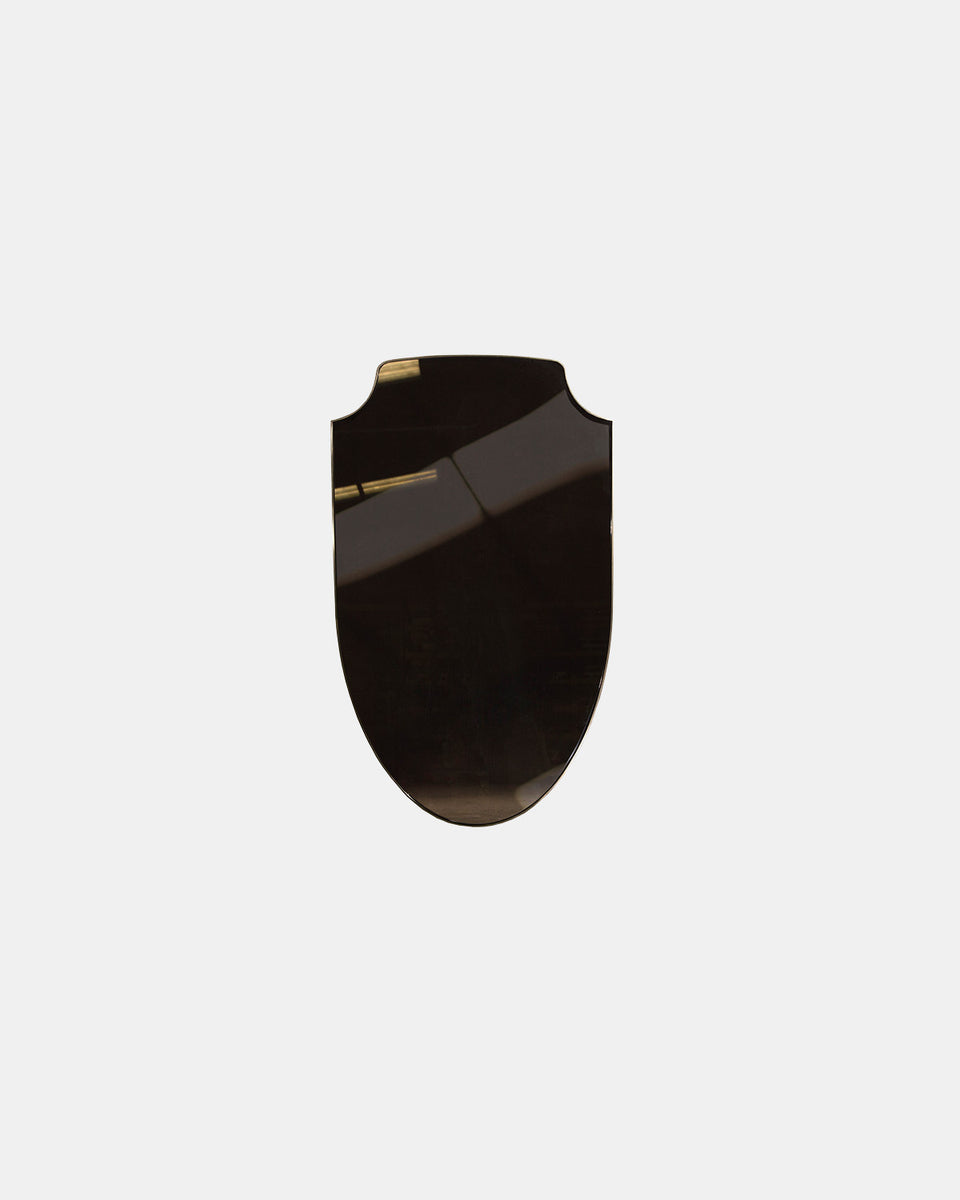 AEGIS MIRROR
