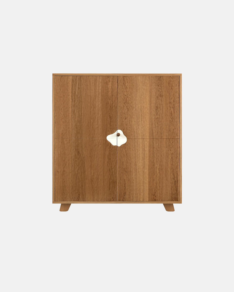 CABINET 160