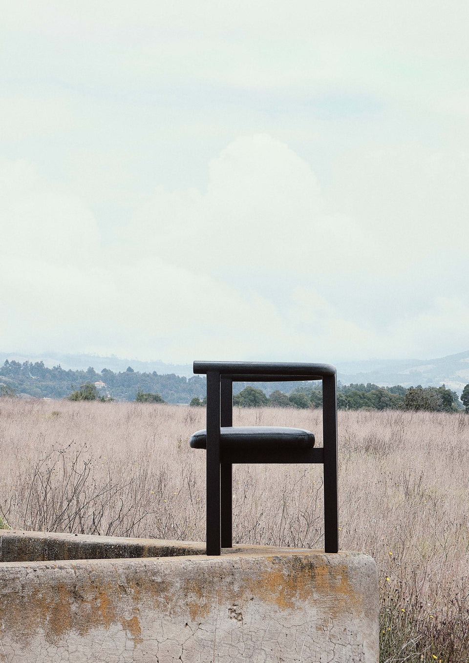 OLTA DINING CHAIR